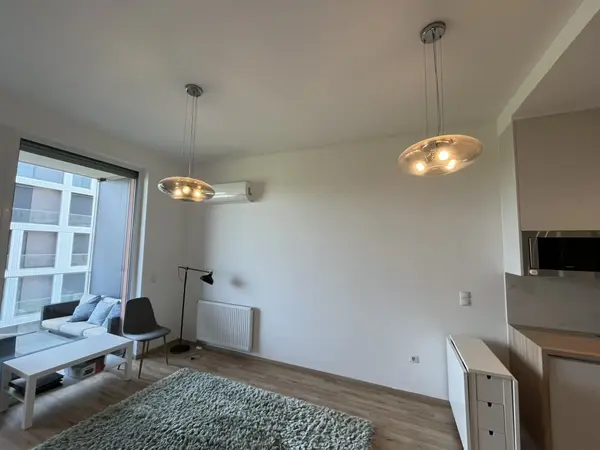 Tisztasági festés Egyrétegű, világos színű diszperziós festés