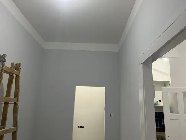 Penészgátló alapozó és festék panel lakásban